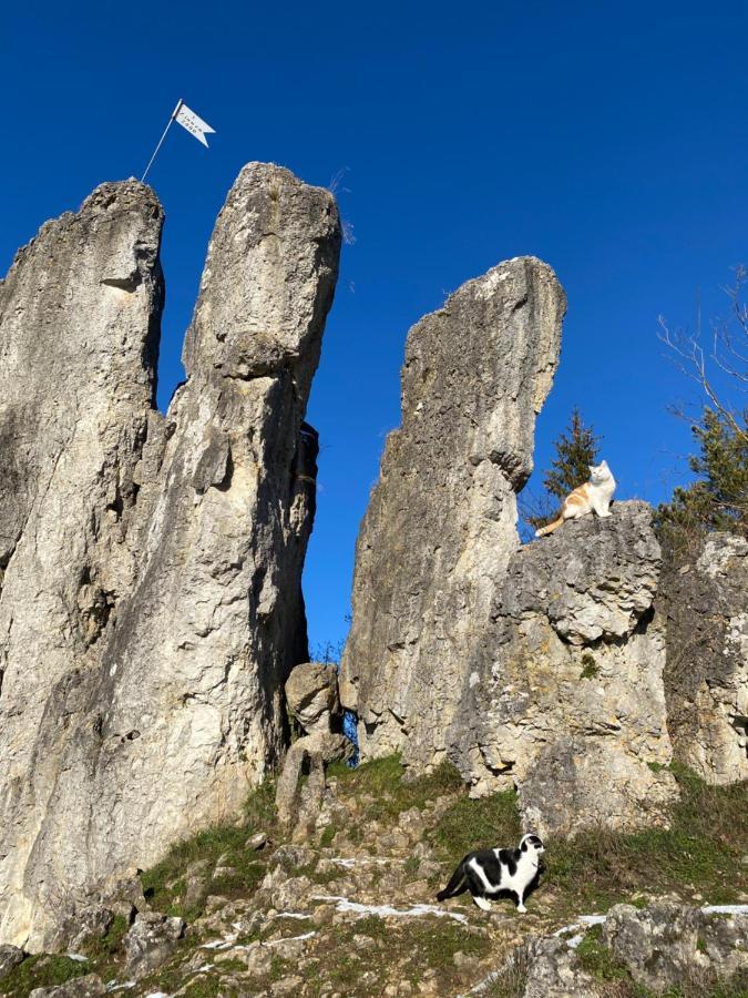 Apartmán Gasthof Zur Sagemuhle Hiltpoltstein Exteriér fotografie