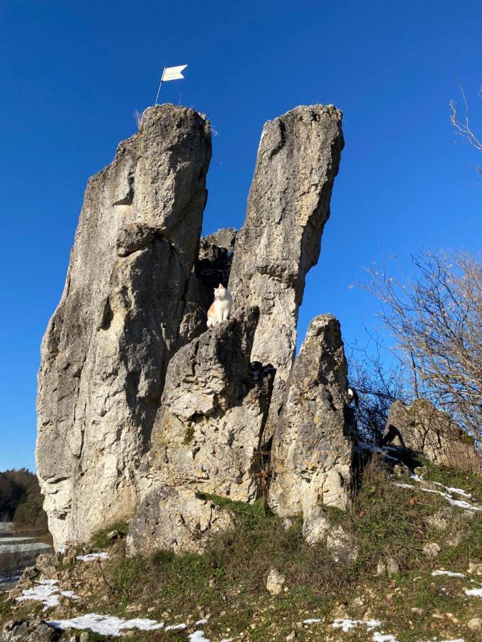 Apartmán Gasthof Zur Sagemuhle Hiltpoltstein Exteriér fotografie