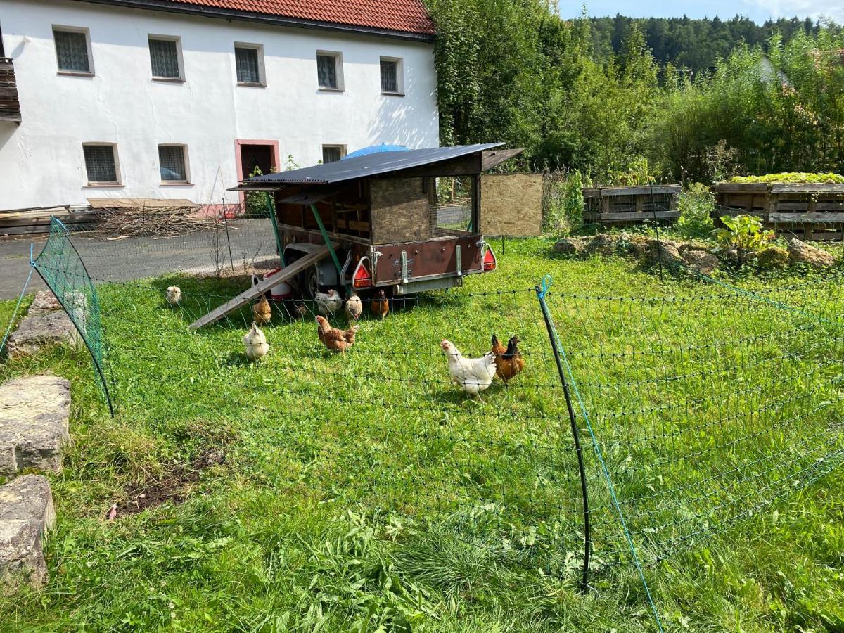 Apartmán Gasthof Zur Sagemuhle Hiltpoltstein Exteriér fotografie